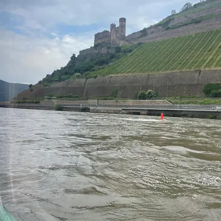 公寓 Grosse Direkt An Den Weinbergen 吕德斯海姆