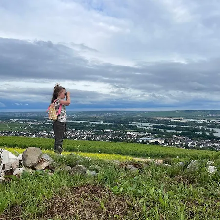 アパート Grosse Direkt An Den Weinbergen *
