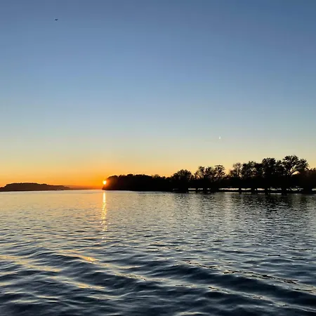 Grosse Direkt An Den Weinbergen 公寓 吕德斯海姆