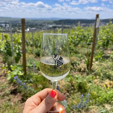 Apartment Grosse Direkt An Den Weinbergen Ruedesheim am Rhein