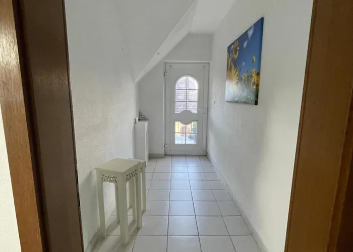 Grosse Direkt An Den Weinbergen