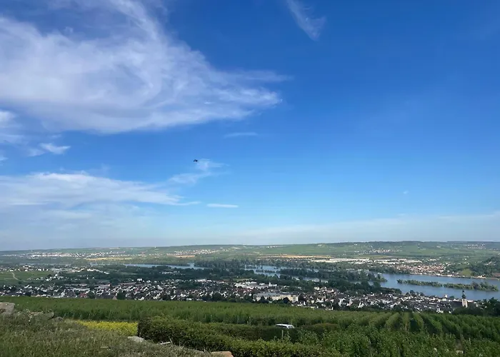 Grosse Direkt An Den Weinbergen Rüdesheim am Rhein
