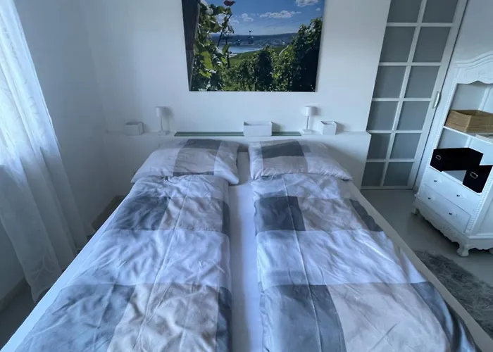 Grosse Direkt An Den Weinbergen * リューデスハイム・アム・ライン