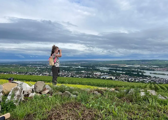 アパート Grosse Direkt An Den Weinbergen *