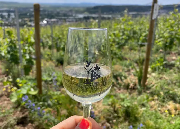 アパート Grosse Direkt An Den Weinbergen リューデスハイム・アム・ライン