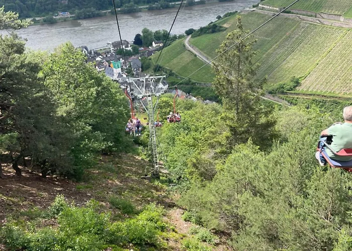 Grosse Direkt An Den Weinbergen *