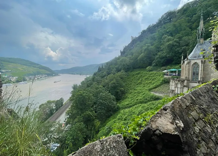 Grosse Direkt An Den Weinbergen *