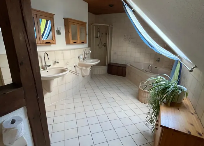 Grosse Direkt An Den Weinbergen リューデスハイム・アム・ライン