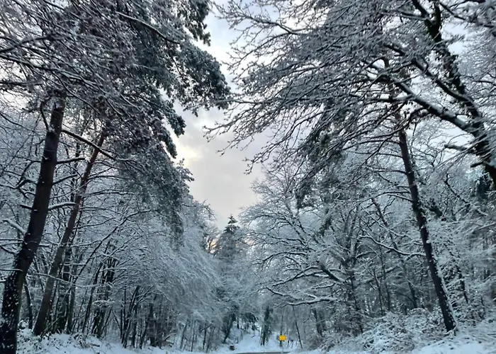 アパート Grosse Direkt An Den Weinbergen *